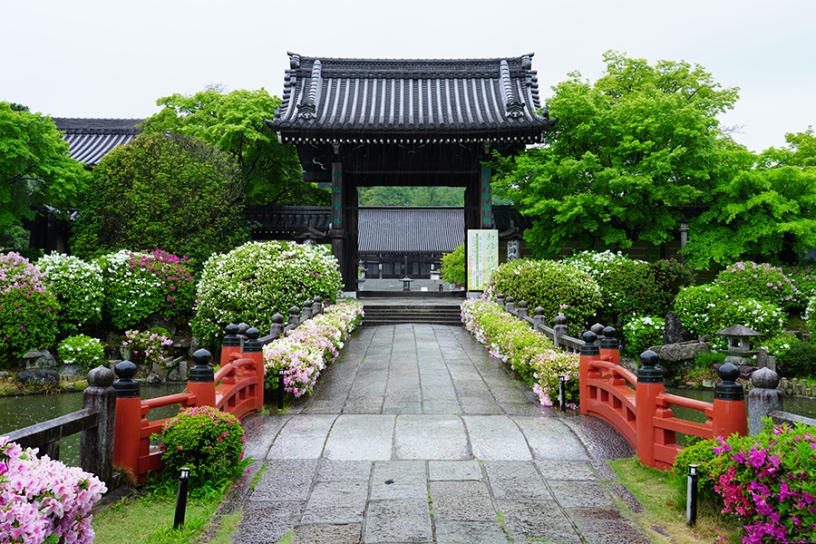 撮影日：2025年5月2日（金）
