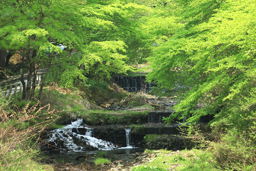 貴船川