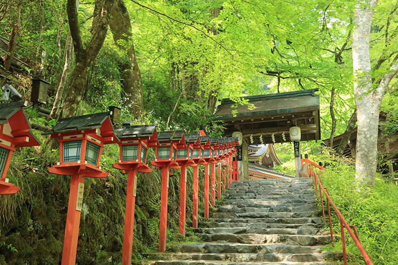 本宮の表参道