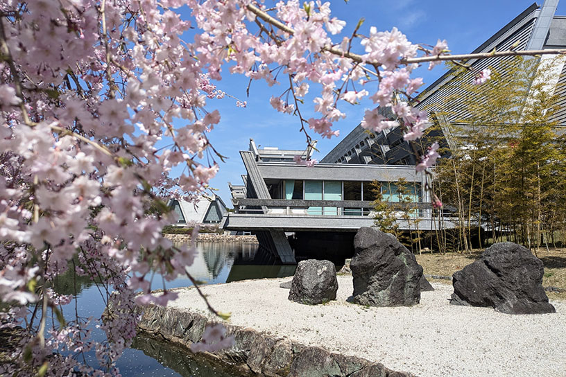 東側には約100本の桜が植わる「桜林」があります