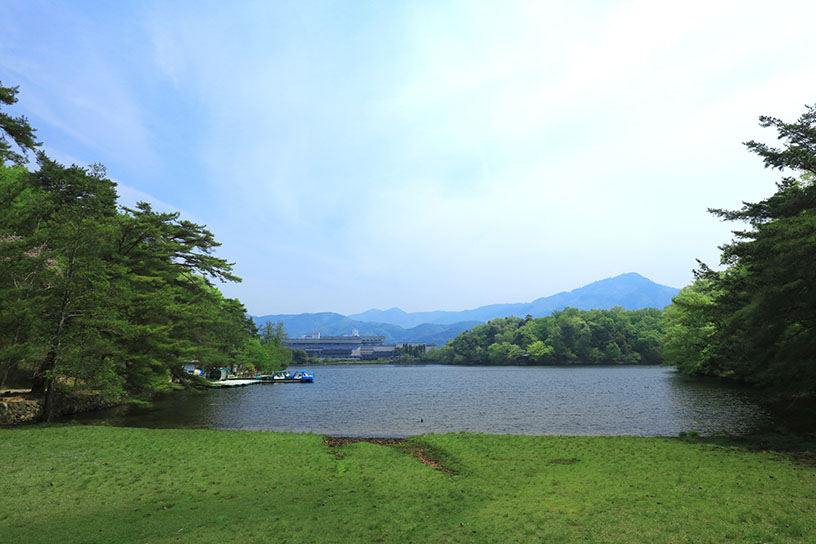 雄大な比叡山を望む