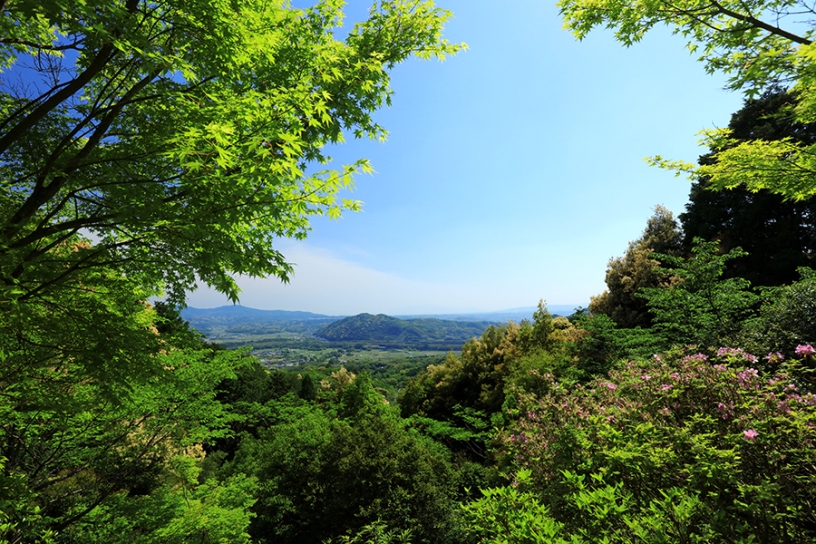 天候に恵まれると、奈良を代表する春日・葛城などの山々が眺められます