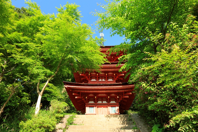 三重塔の総高は16メートルほど