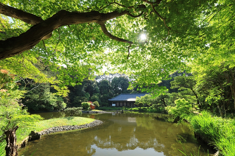 春分・秋分の日には、三重塔後方より昇った太陽が阿弥陀堂（本堂）の後方に沈むそう
