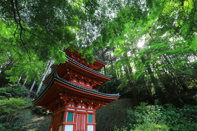 三重塔の総高は18メートルほど