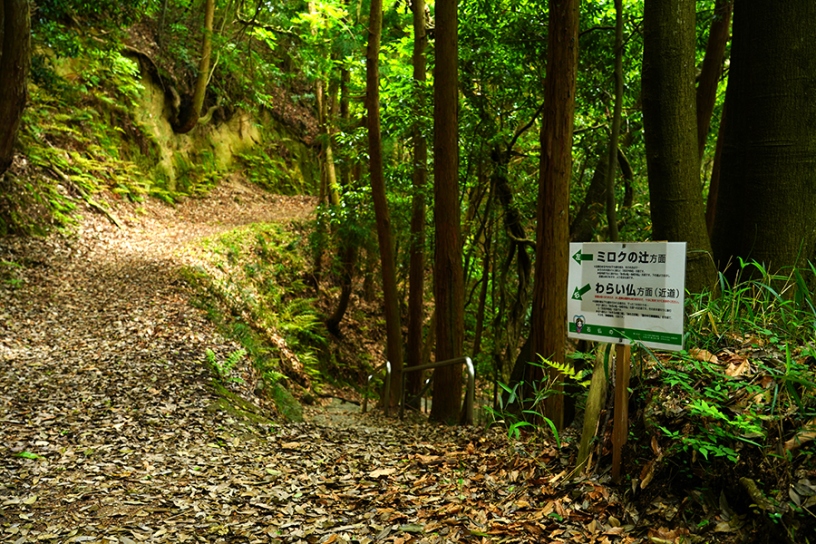 要所の分帰路には案内板も
