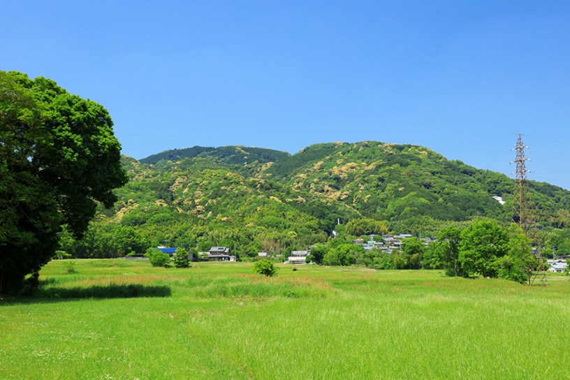 海住山寺は三上山（海住山）の中腹に堂宇を並べます