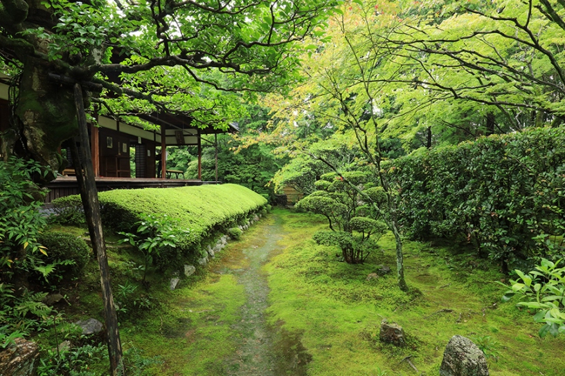 右側の生垣の向こうに…