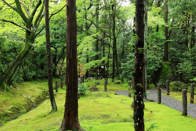 回遊式の庭園もじっくり巡りたい