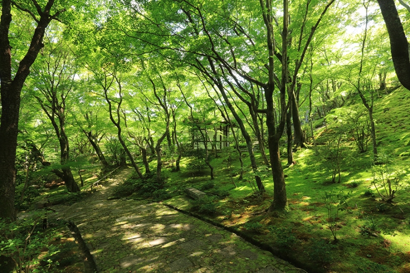 仁王門の北側エリア