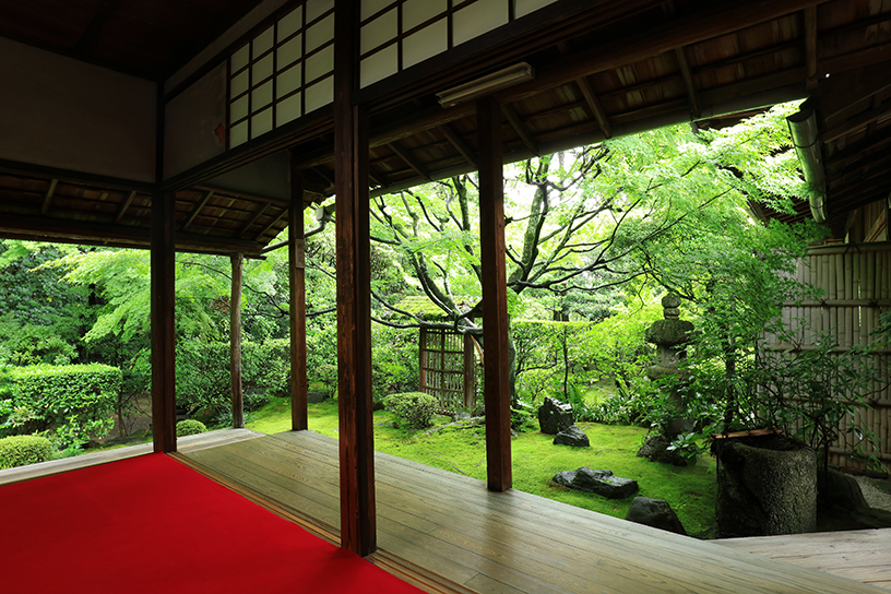 妙心寺 桂春院