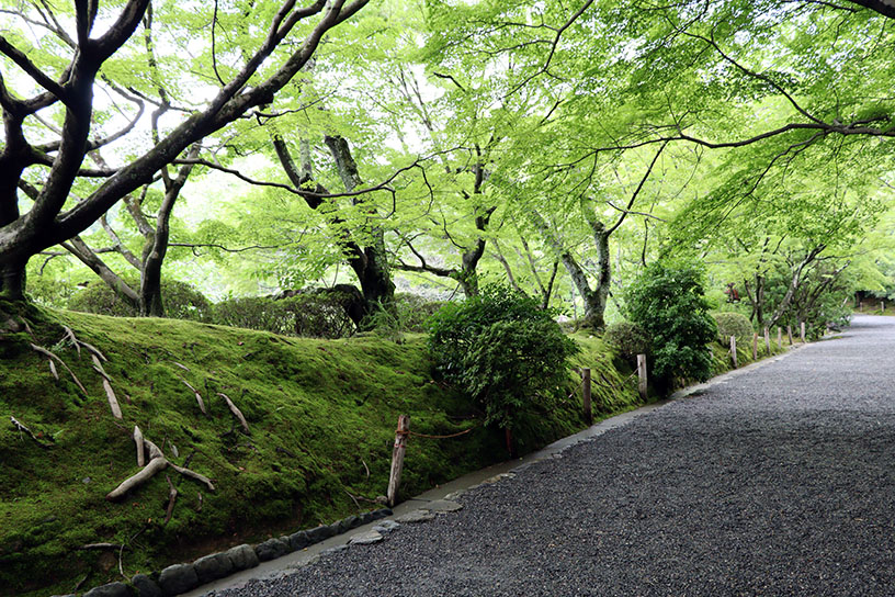 鏡容池まわりの参道