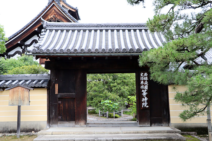 開催場所のひとつ、等持院