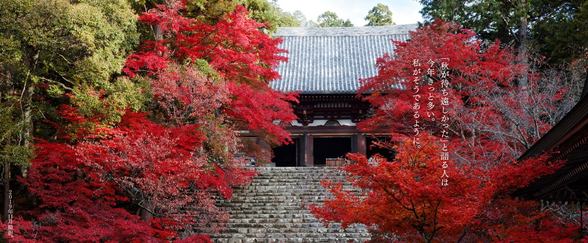 そうだ 京都 行こう 京都への旅行 観光スポットで京都遊び