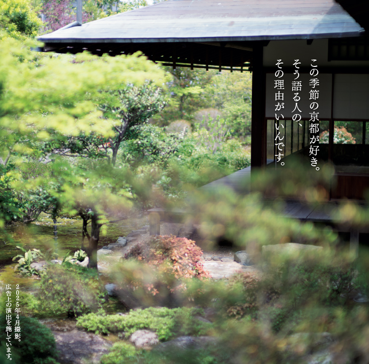 そうだ 京都、行こう。 | 京都への旅行、観光スポットで京都遊び