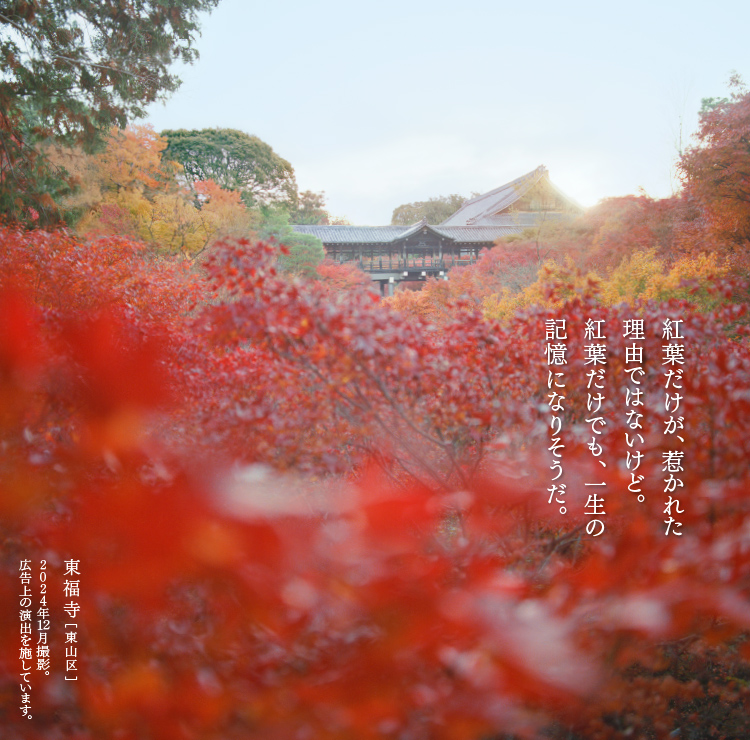 そうだ 京都、行こう。 | 京都への旅行、観光スポットで京都遊び