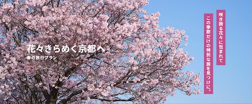 京都 春の旅行プラン