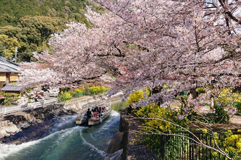 山科疏水