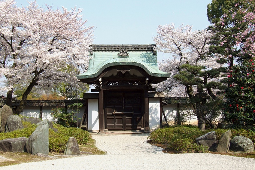 本堂庭園