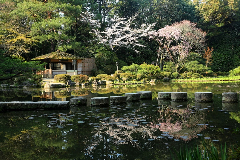 中神苑 臥龍橋