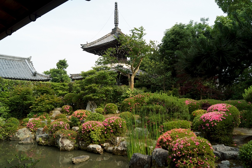 穴太寺 方丈庭園