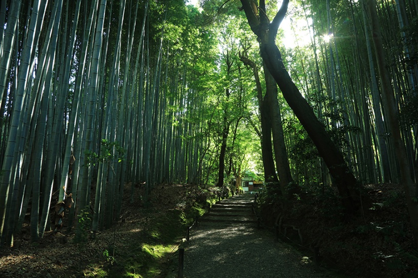 地蔵院