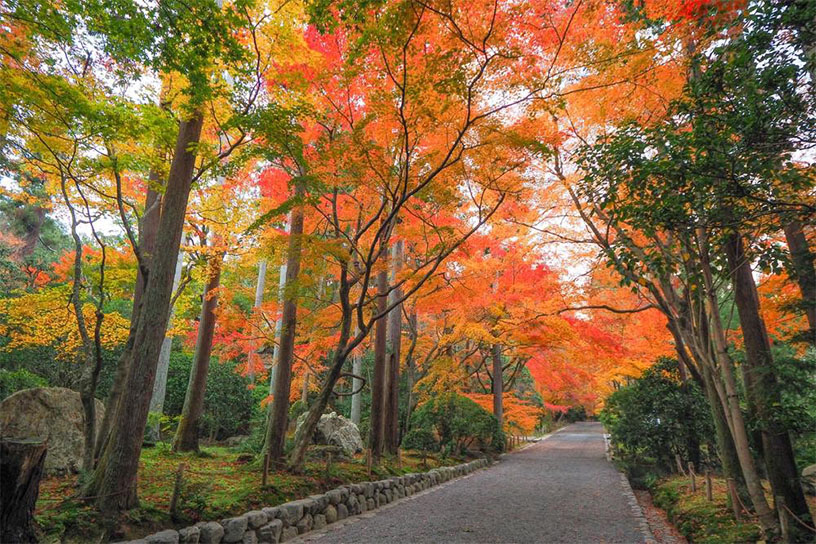 鏡容池庭園