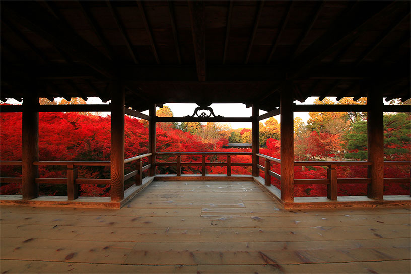 秋の東福寺 早朝特別拝観 そうだ 京都 行こう