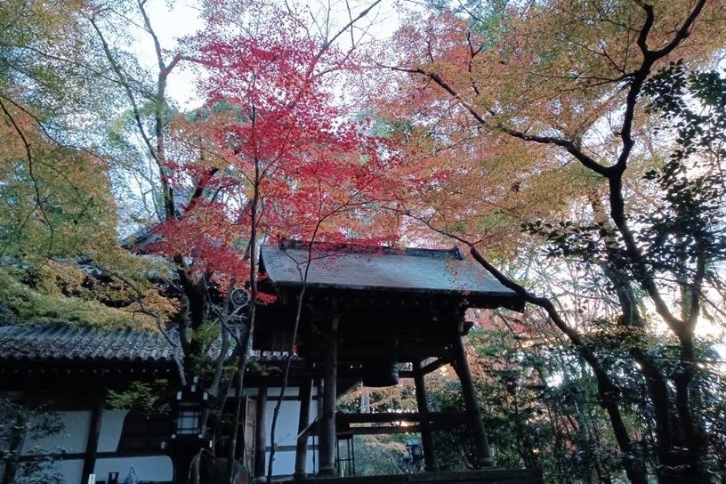 長楽寺 秋の特別公開