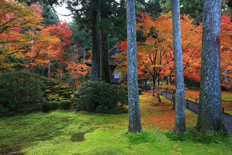 三千院 もみじ祭