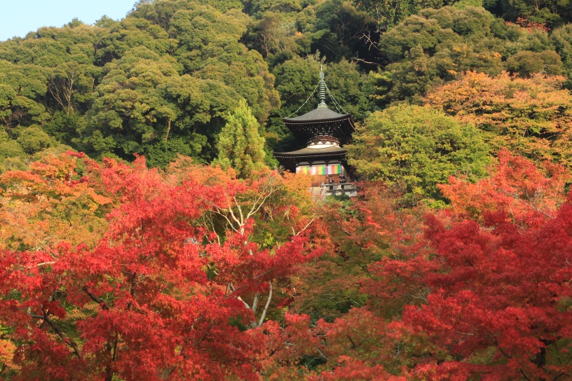 永観堂 秋の寺宝展