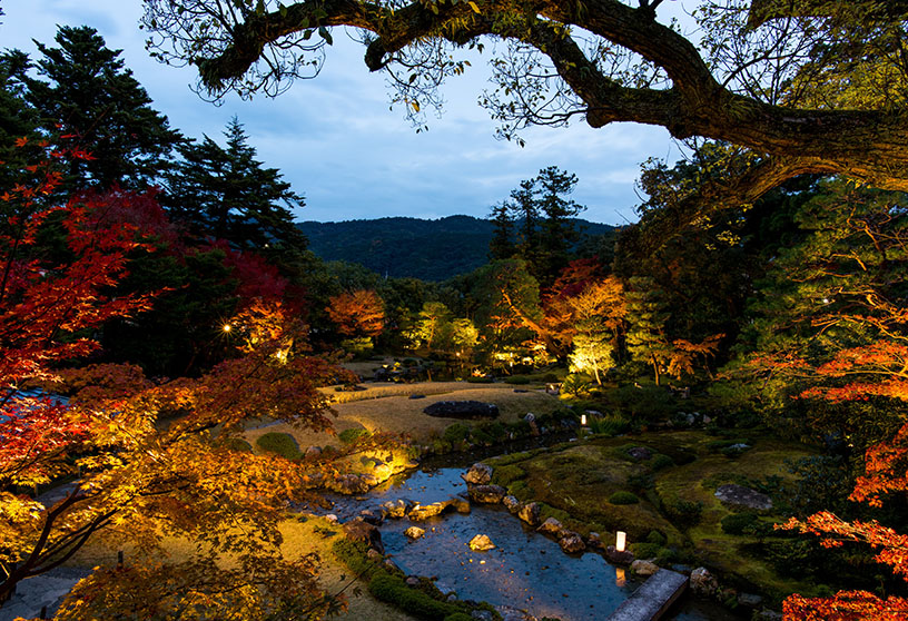 無鄰菴 秋の紅葉特別夜間公開－トワイライト庭園パーティー2025