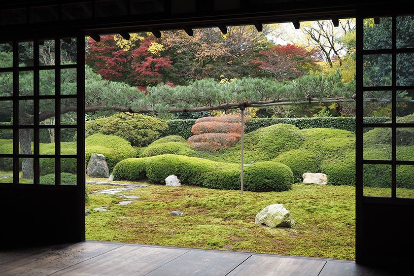 東福寺 一華院 秋の特別拝観