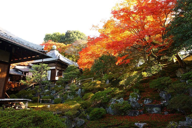 霊鑑寺 秋の特別公開