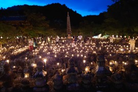 あだし野念仏寺 千灯供養｜そうだ 京都、行こう。