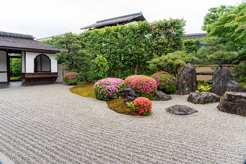 大徳寺 興臨院 春季特別公開