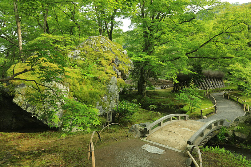 宝厳院 春の特別拝観