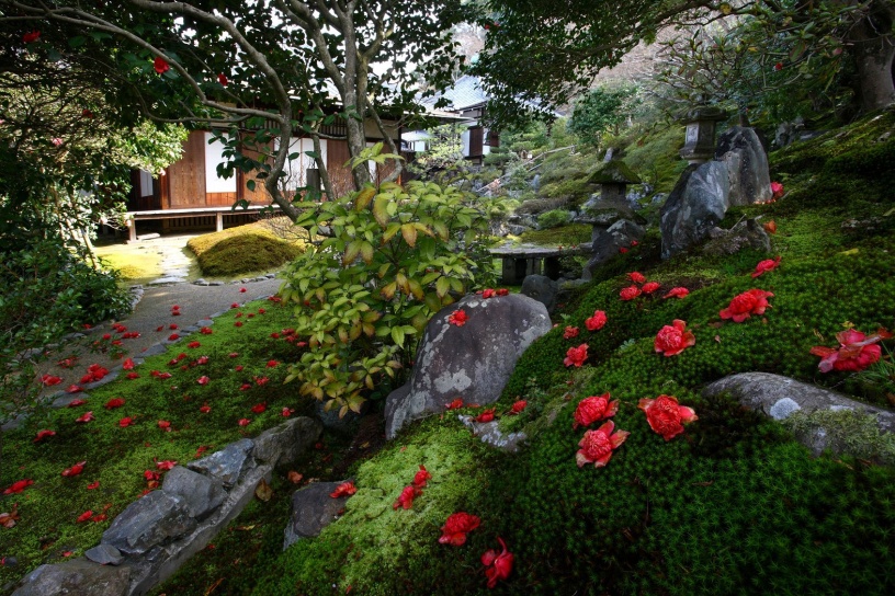 霊鑑寺 春の特別公開
