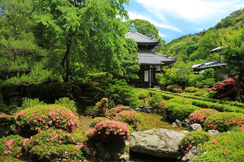 安楽寺 春の一般公開（躑躅）
