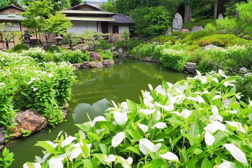 初夏の庭園特別公開