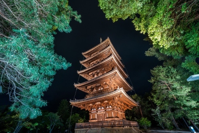仁和寺