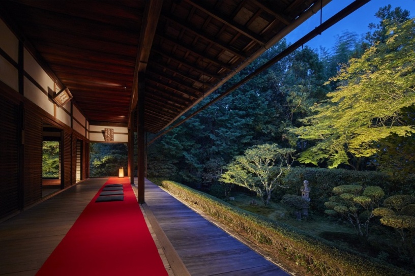 妙心寺 桂春院 幽玄の美に触れる夜の拝観