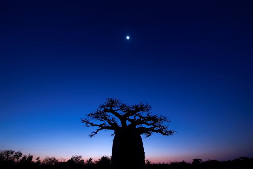 高砂淳二写真展—この惑星（ほし）の声を聴くー