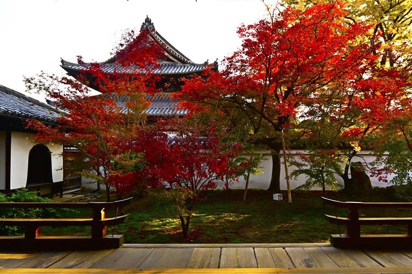 西陣 興聖寺 秋の特別公開
