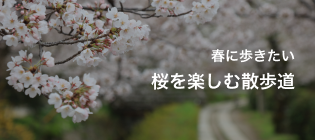 春に歩きたい桜を楽しむ散歩道