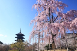 「そうだ 京都、行こう。」CMに登場した、世界遺産をめぐる旅 