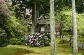 京の里山「大原」のんびり癒し旅