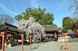 家内安全祈願コース　北野〜西陣