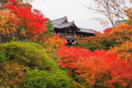 紅葉名所　東福寺〜祇園・建仁寺エリア