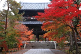 紅葉名所　南禅寺〜哲学の道エリア